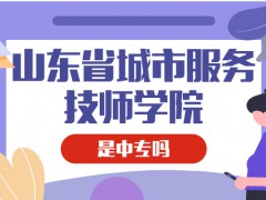 山东省城市服务技师学院是中专吗