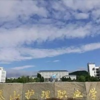 泰山护理职业学院