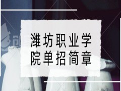 潍坊职业学院单招简章-山东单招网