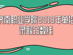 济南职业学院2019年单招录取分数线-山东单招网
