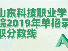 山东科技职业学院2019年单招录取分数线-山东单招网