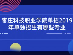 枣庄科技职业学院单招2019年单独招生有哪些专业-山东单招网
