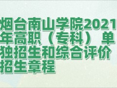 烟台南山学院2021年高职（专科） 单独招生和综合评价招生章程